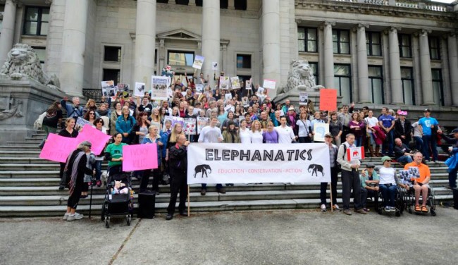 Vancouver Global March for Elephants and Rhinos