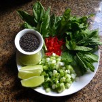 Pho garnishes 