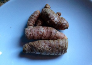 fresh tumeric root is available in produce section of natural food grocery stores