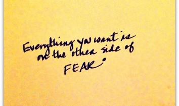 everything you want is on the other side of fear