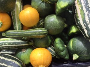 summer squash